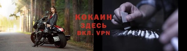 тгк Арсеньев
