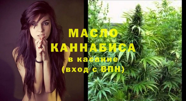 дмт Армянск