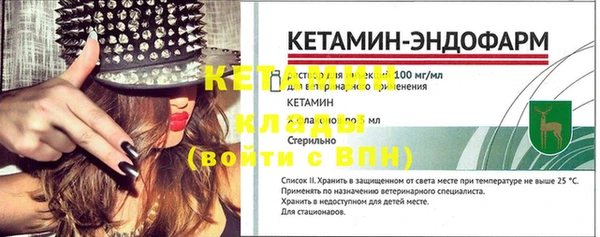 гашик Няндома