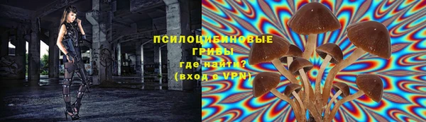 дмт Армянск