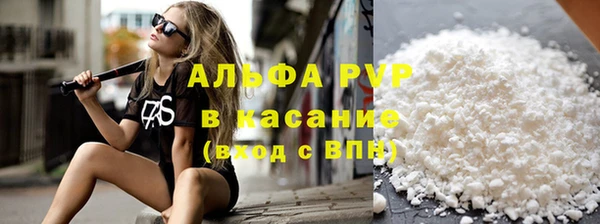 СК Пересвет