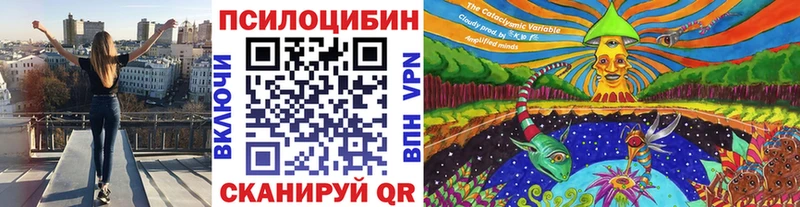 Галлюциногенные грибы Psilocybine cubensis  Нижняя Тура 